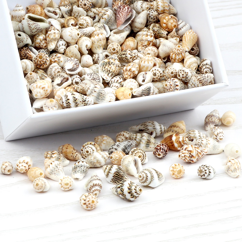 Conchas Mini Naturais - 100 Unid / Artesanato Tiara Arco Vaso Enfeite ...