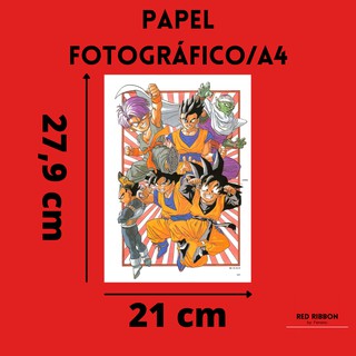 Pôsteres - Cartazes A4 Papel Fotográfico - DRAGON BALL Z - Saga Majin Boo