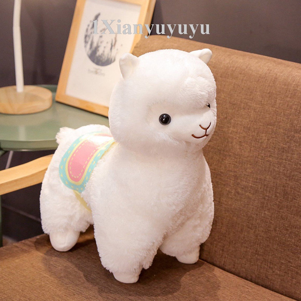 Amuse alpacasso best sale