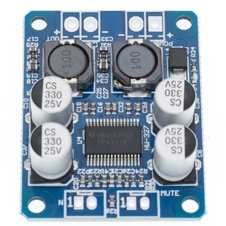 Placa amplificadora TPA3118
