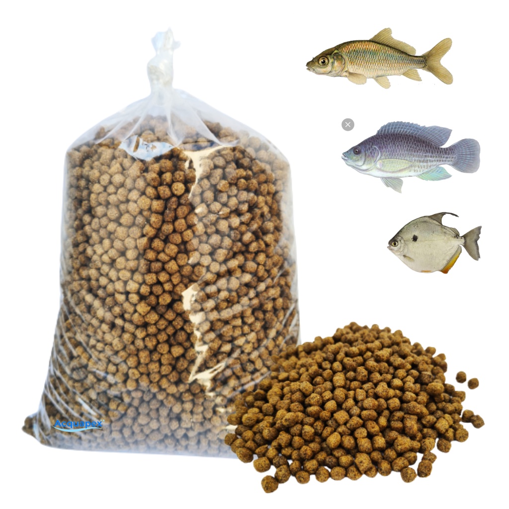 Ração Grossa Peixe Tilapia/Carpa Crescimento Polinutri 1KG Shopee Brasil
