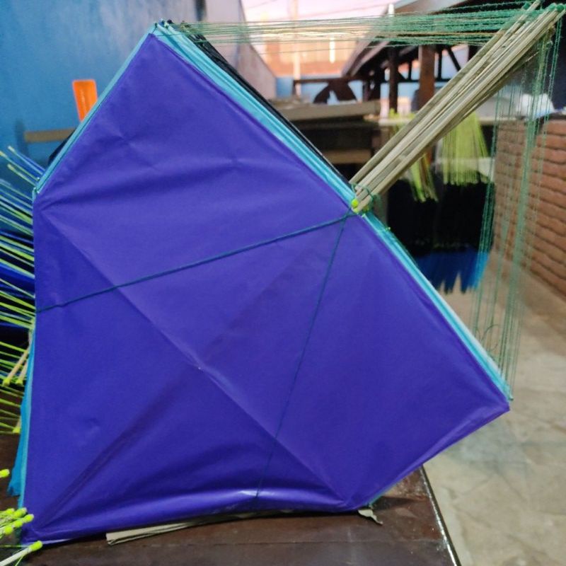 pacote de pipas vanda de 55 cm com 25 un