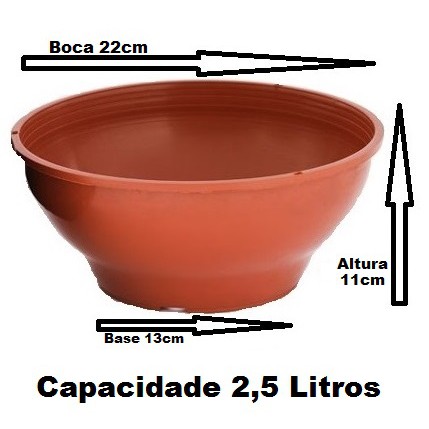 10 Vasos Plástico Cuia 22 Cm de 2,5 Litros - Rosa do Deserto, Jardim, Orquídeas, Samambaia etc