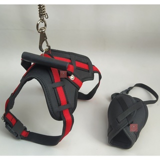 Irelia dog harness hotsell