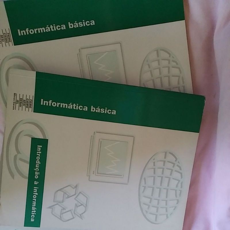 1 IntroduçãO A InformáTica