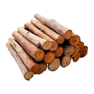 Lenha De Eucalipto 7kg C/ Acendedor