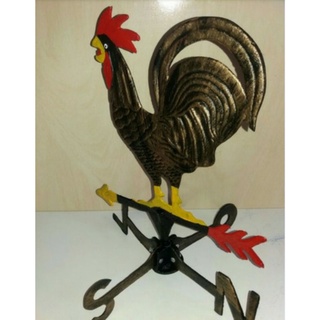 galo do vento