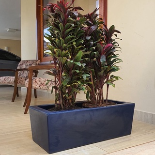 Jardineira De Plantas Florença 80x25 Floreira Polietileno