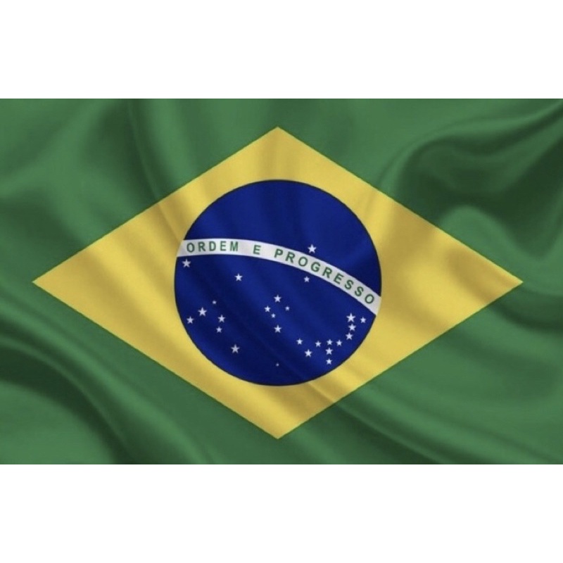 Bandeira do Brasil Oficial Seleção Copa do Mundo em Cetim Brilhante -  Tamanho Grande 1,20m x