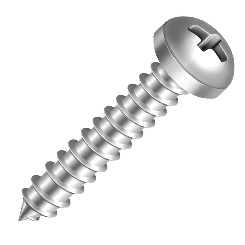 Parafuso philips cabeça panela Todas as medidas 100 pçs AAT auto atarraxante