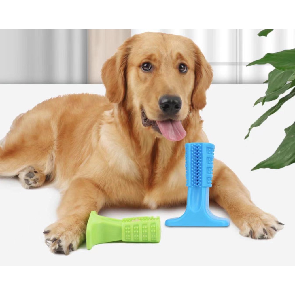 Mordedor Brinquedo Escova De Dente Cachorro Dog Pet Pequeno/Médio/Grande ENVIAR RAPIDO!!!