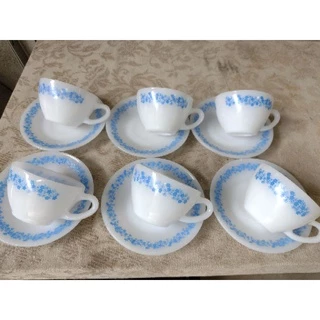 xícaras de café com pires termo Rey aguarius (12 peças)
