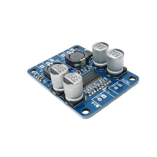 TPA3118 Placa Amplificadora mono digital PBTL 1X60W 12V 24V Módulo AMP POWER