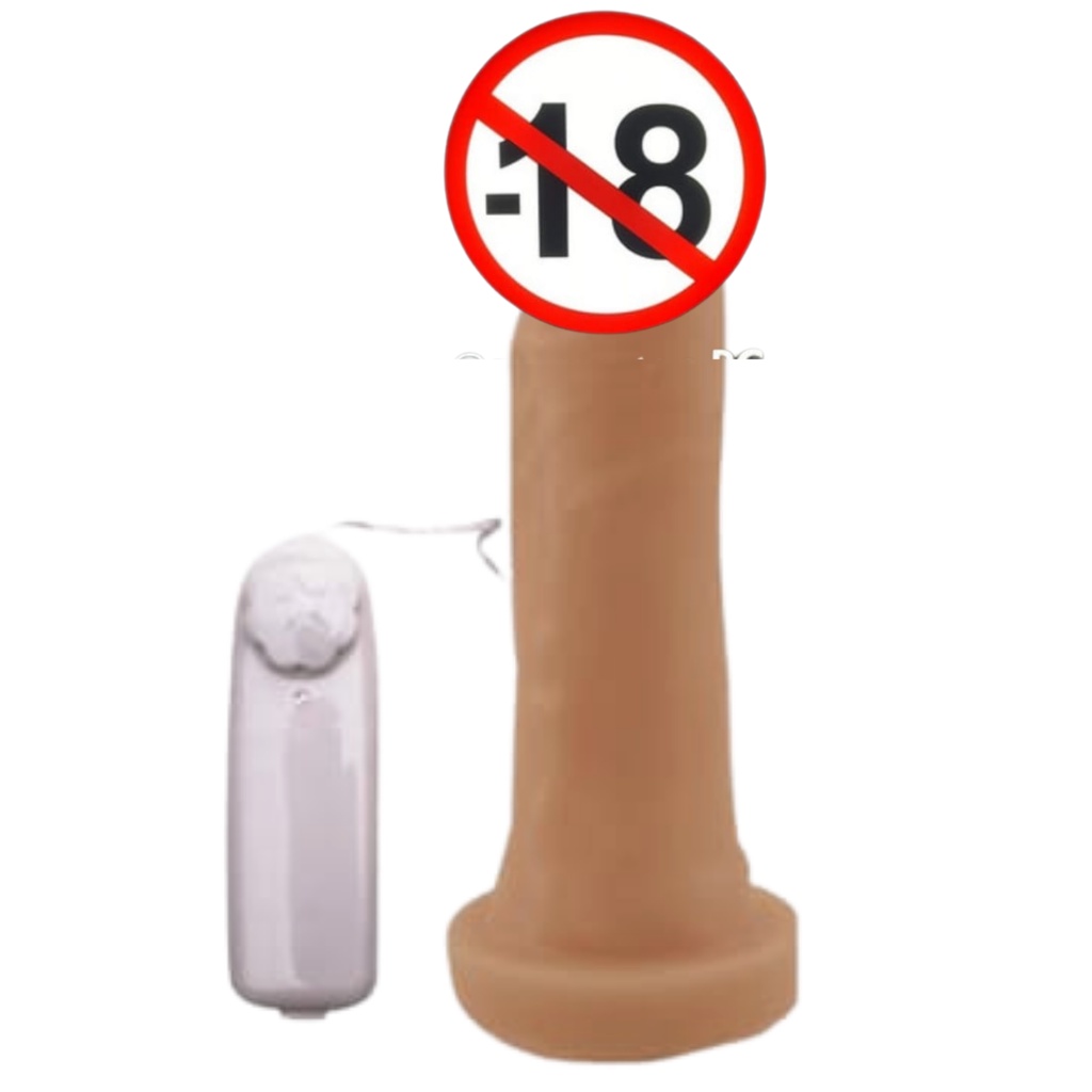 Pénis de Borracha com Vibrador 15,5 X 3,5 cm Blister | Shopee Brasil