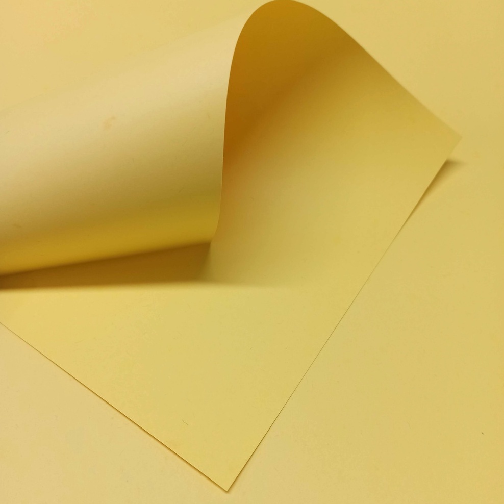 Papel FCard A4 180grs pacote c/ 10 folhas | Shopee Brasil