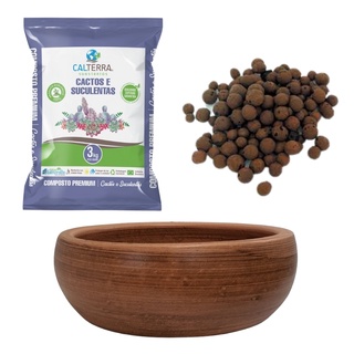 Kit Jardim de Suculenta Pronto e F cil - 26x10cm Cor Tabaco