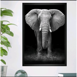 Kit QUadros Decorativos Mosaico 4 Peças Frase Safari Personalizado Desenho  Leão Elefante Zebra Macaco Girafa Zoológico Infantil Criança Abstrato