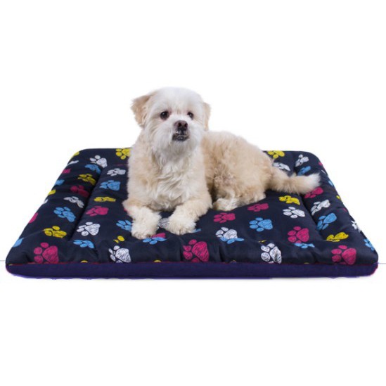caminha colchonete pet top macio barato