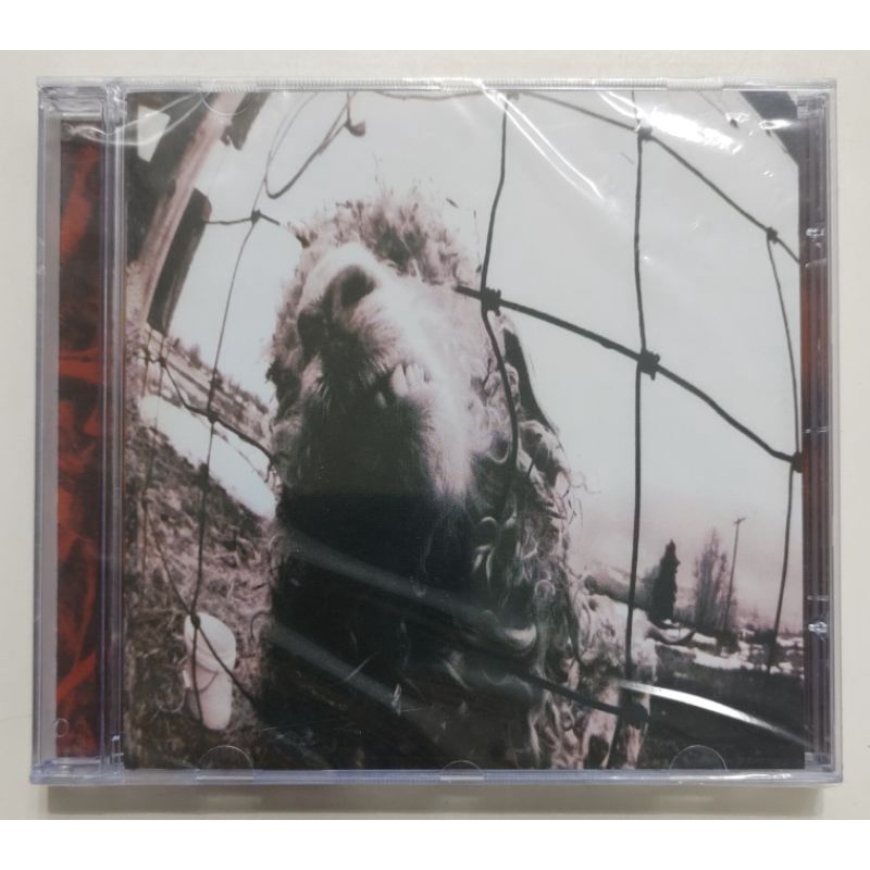 CD - PEARL JAM - ( VS. ) | Shopee Brasil