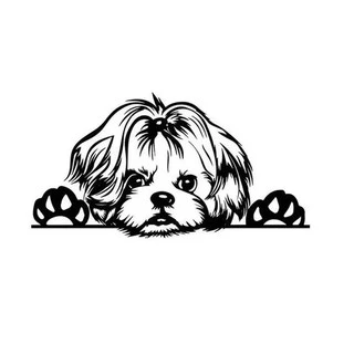 Adesivo Shitzu Shih Tzu Cachorro Espiando Moto Carro