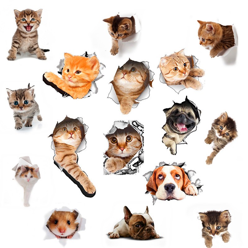 TEHAUX 3 Caixas De Adesivos Adesivos De Decoração Animal Adesivos De Viagem  Adesivos De Gato Engraçados Adesivos De Gatos Fofos Adesivos De Desenhos  Animados Fofos Decalques De Álbum : : Computadores e