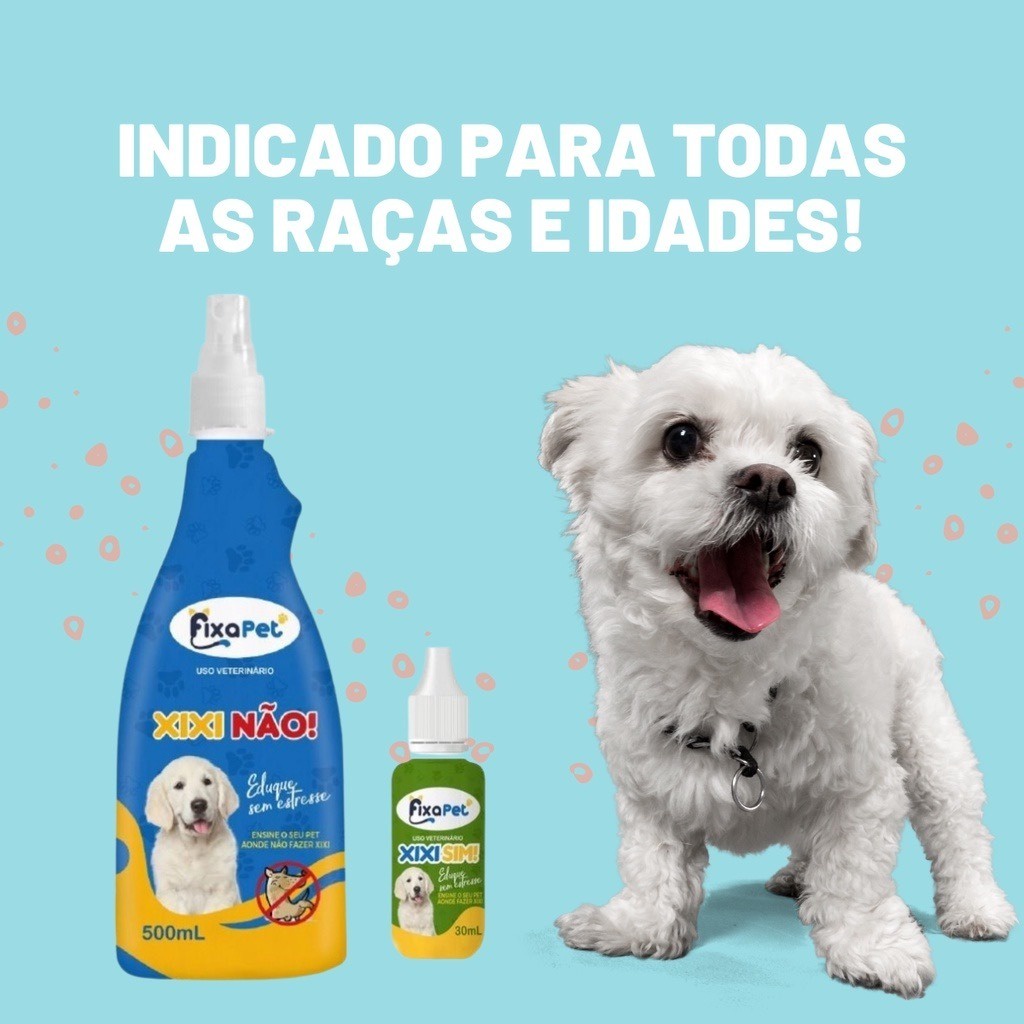 Como retirar seu pet no Star Pets! fácil e rápido 