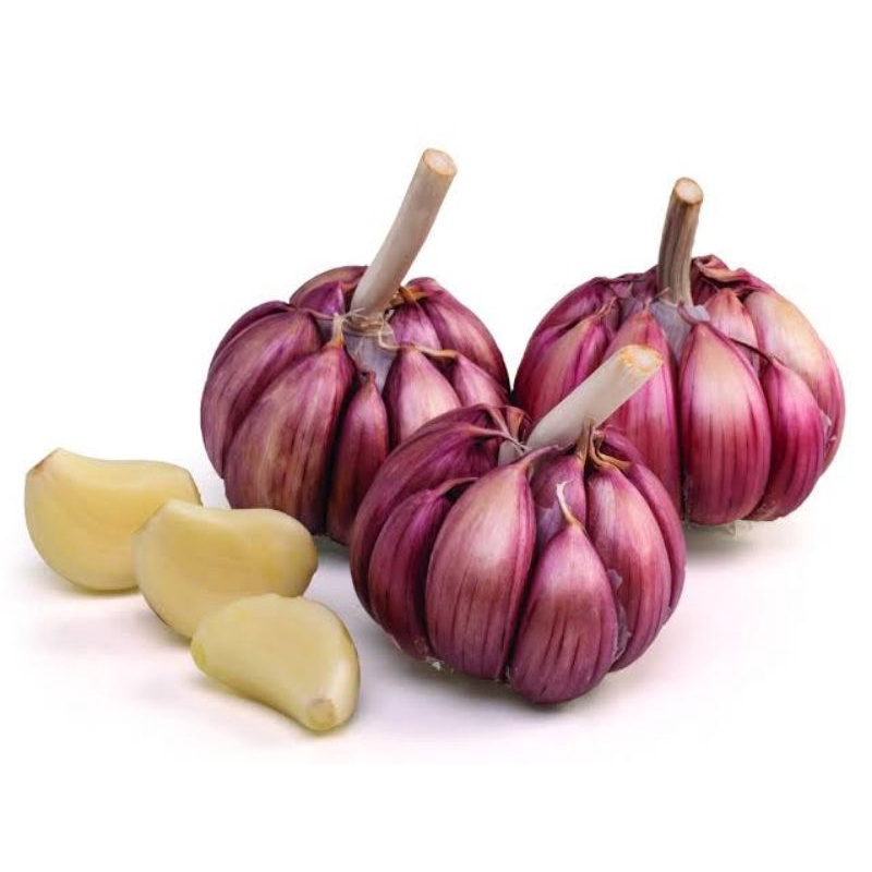 Alho roxo 10 kg produto selecionado e de ótima qualidade direto da ...