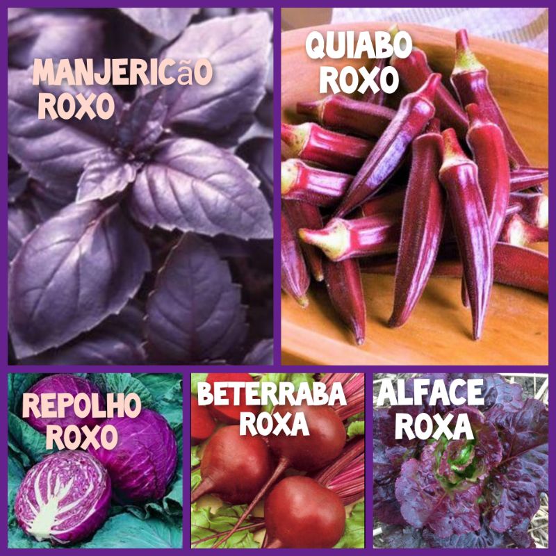 800 Sementes de Hortaliças e Verduras Roxas. | Shopee Brasil
