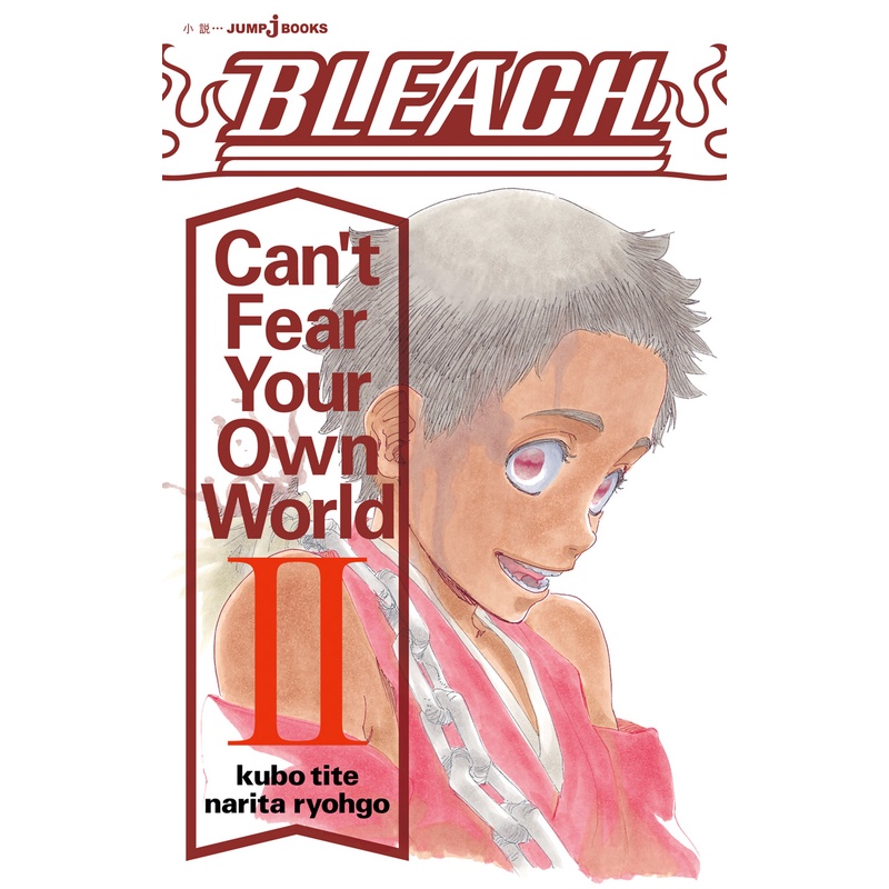 Bleach: Can't Fear Your Own World Vol.1~3 (Light Novel em Japonês