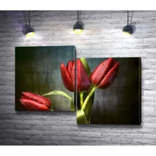 Quadros Decorativos tulipa vermelha Decoração De Quarto e Sala tulipa vermelha Kit 2pcs 50x30 #50