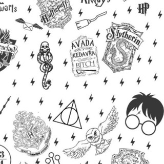 Adesivo Decorativo Feitiços de Harry Potter Filme
