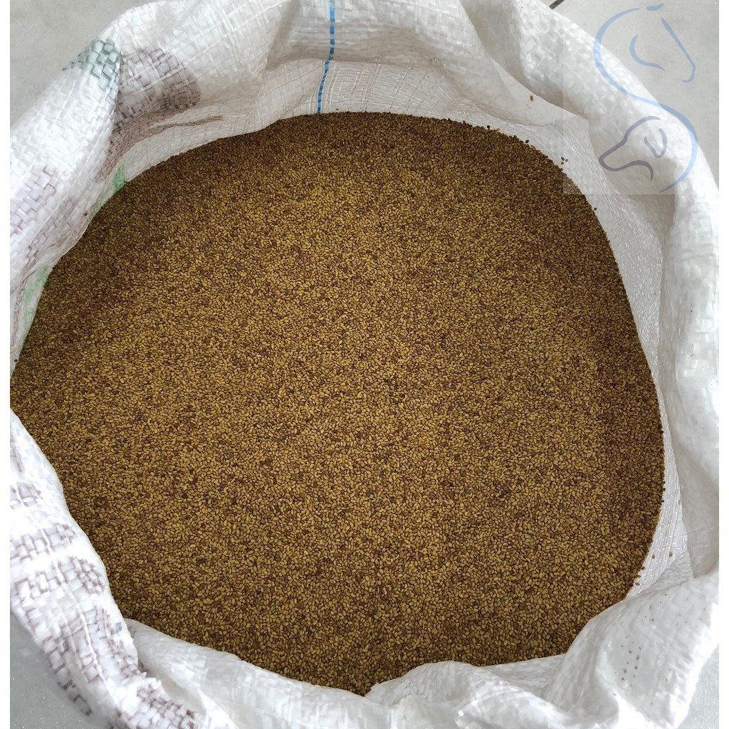 Semente de Alfafa Crioula - 500 g