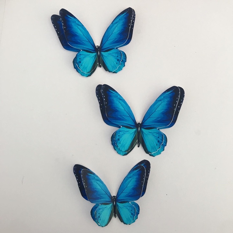 Bolo borboleta azul n⁰1 
