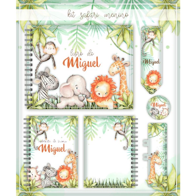 Livro do Bebê Menino+ Caderneta de Saude