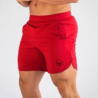Exercício de secagem rápida Fitness de manga curta masculino roupas de  treinamento elásticas com gola redonda T-shirt gymshark arrival Shark  Sports