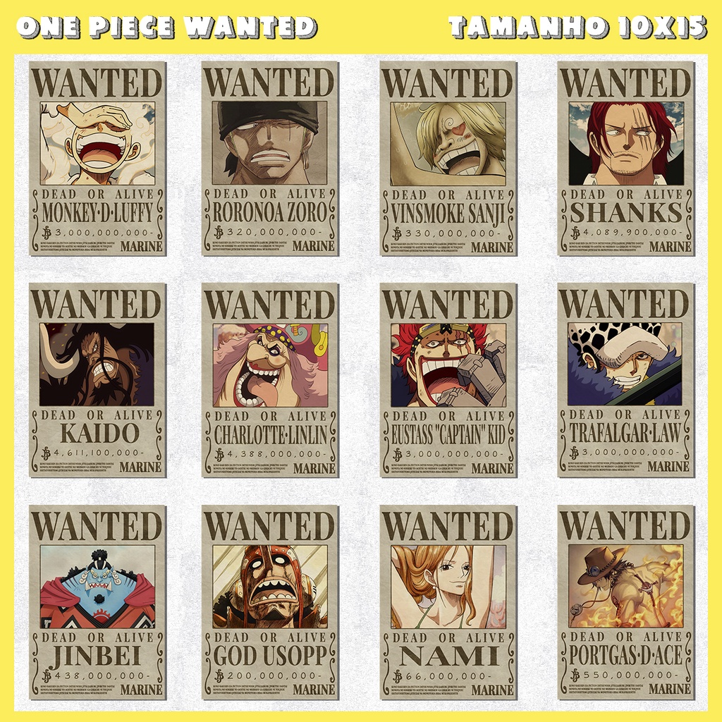 Placas Decorativas - One Piece Wanted Procurado, anime 10x15