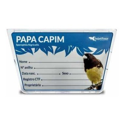 Papa capim - Casa dos Pássaros  Papa capim, Pássaros, Passaros brasileiros