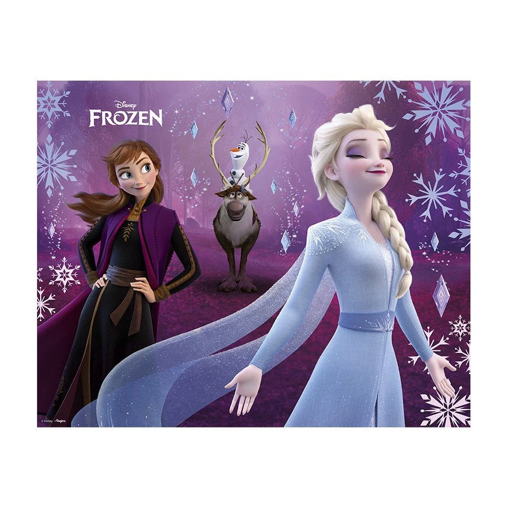 Painel Decorativo Festa Frozen 2 1un Disney Original - Regina | Shopee ...