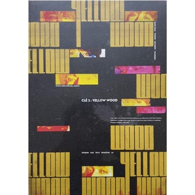 Stray Kids Album - Clé 2 : Yellow Wood | Shopee Brasil