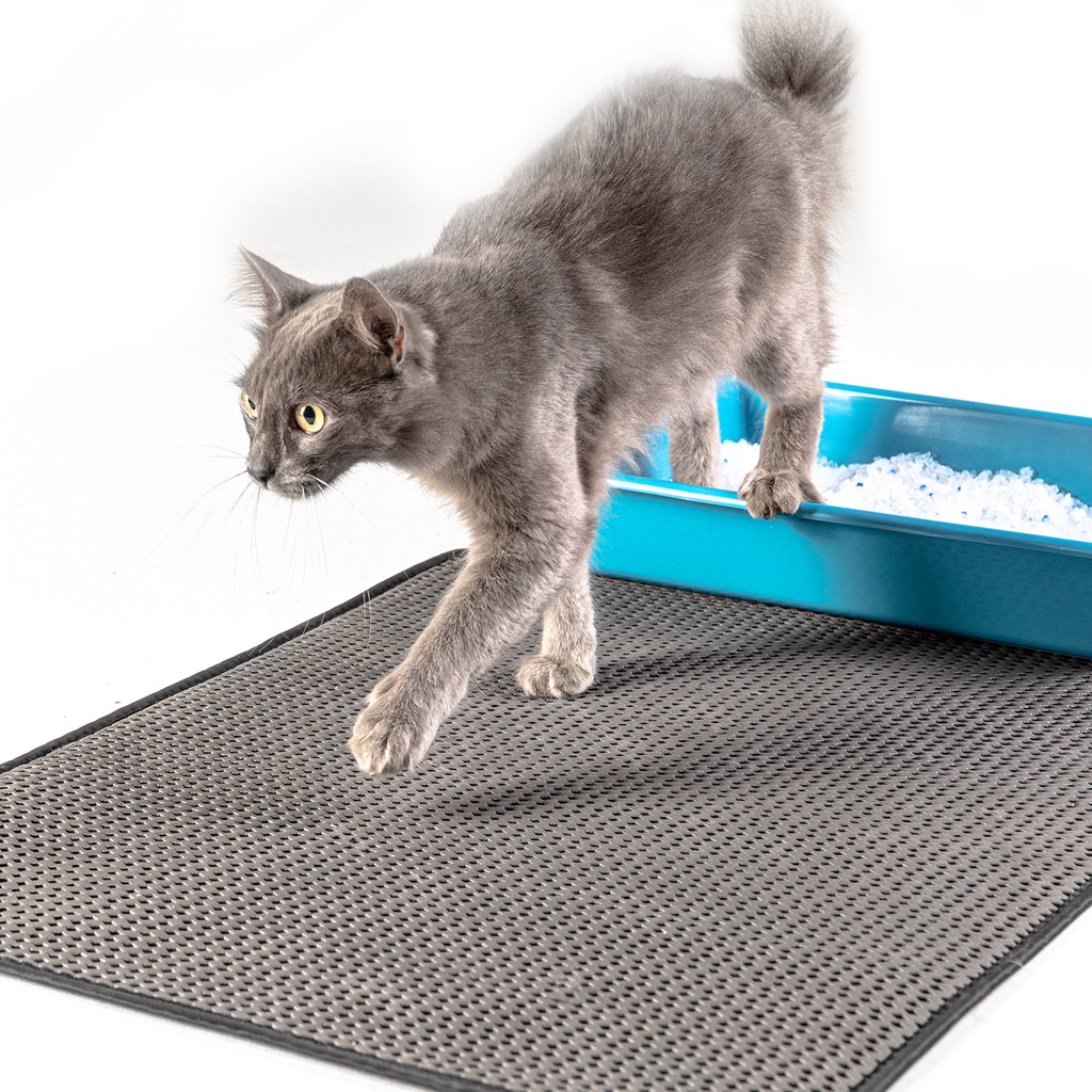 caixa de areia para gato em Promoção na Shopee Brasil 2023