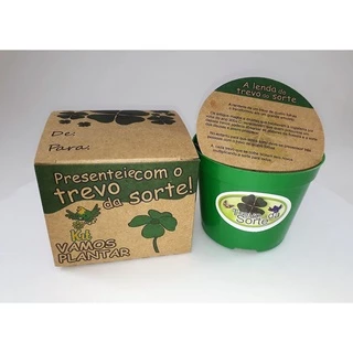 Mini Kit Vamos Plantar semente de Trevo de 4 folhas