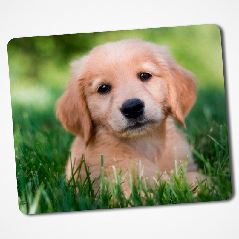 Mouse pad redondo, filhote Golden Retriever cachorro no mouse pad para  jogos de animais de estimação jovens