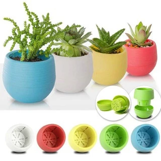 Kit 3 Minis Vasos Coloridos Babyball para suculentas e mini planta