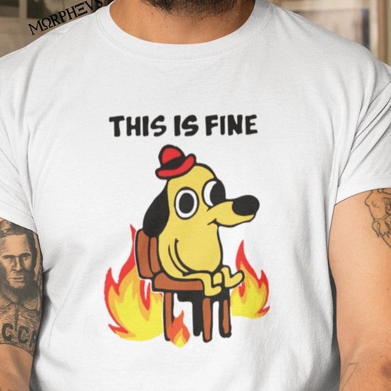 Camiseta This is Fine Meme Engraçada Cachorro Dog Fire