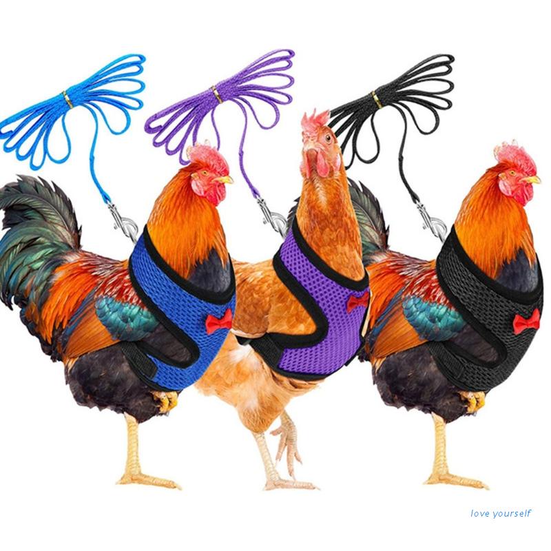(Up) Arreio De Frango Ajustável Com Coleira Para Hens Galo Pato Para Animais De Estimação Pequenos 3 Cores