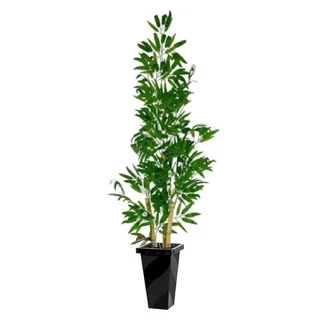 Planta Artificial Bambu da Sorte 2m com vaso de madeira envernizada.