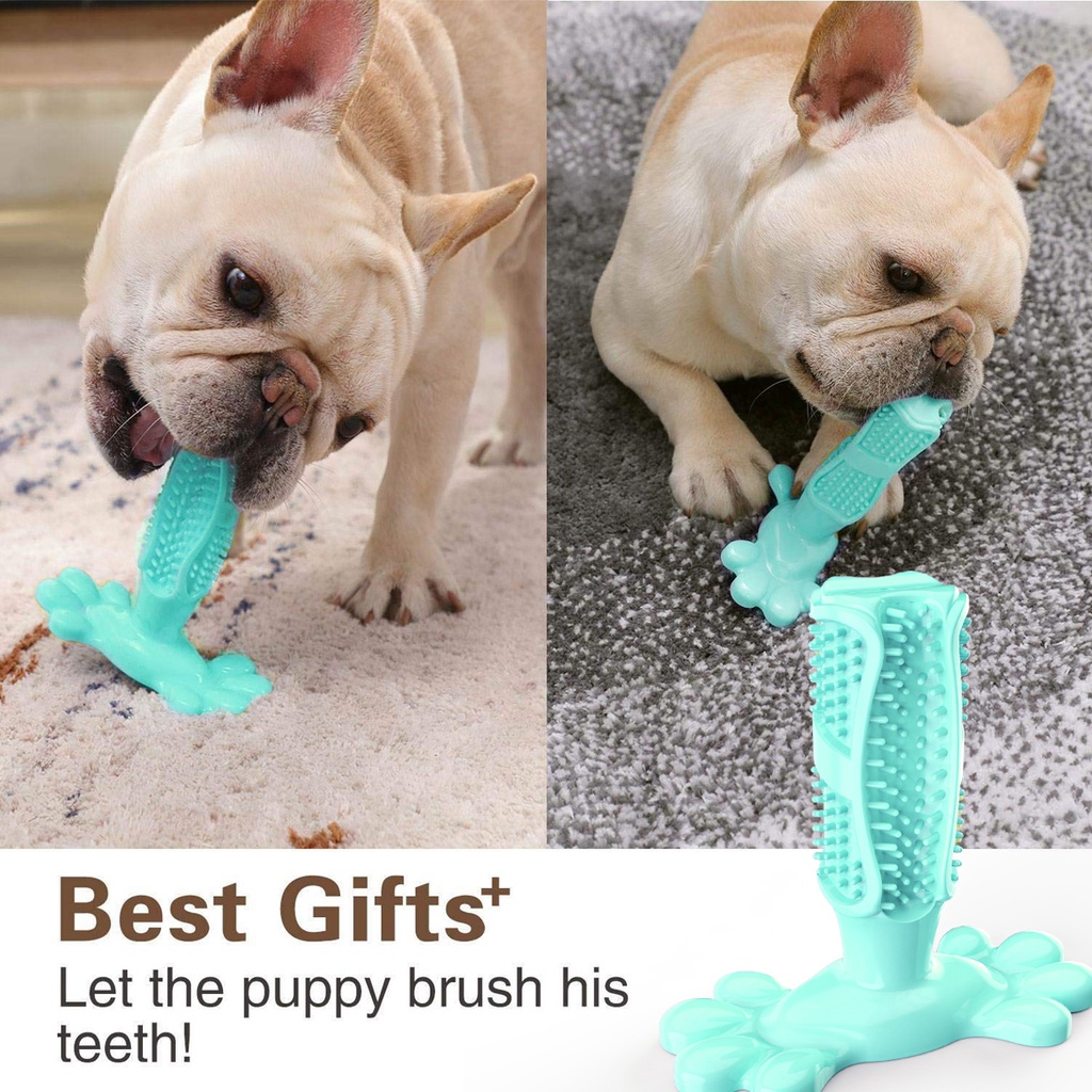 Hambúrguer Squeaky para Cachorro,Brinquedos Molares Macios com Desenho  Comida em Forma Hambúrguer e Efeito Sonoro, som para limpeza molares e  dentes Kumprohu