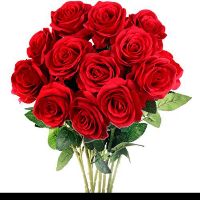 marileuza755gmail.comflo