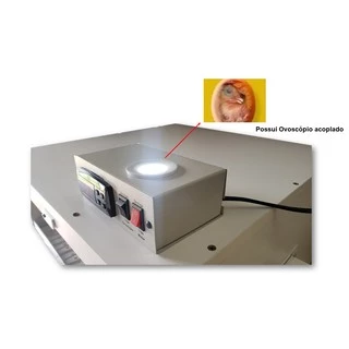 Chocadeira Golden Automática 120 Ovos