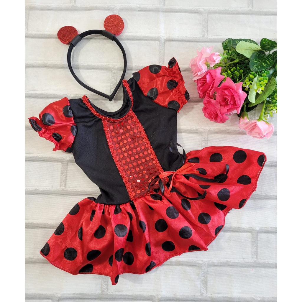 Linda Fantasia da Ladybug ou Cat Noir Miraculous. OBS.: Valido para no  minimo 2 fantasias Ladybug: Tec…